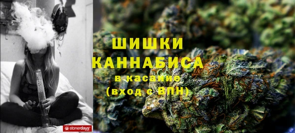 амф Арсеньев
