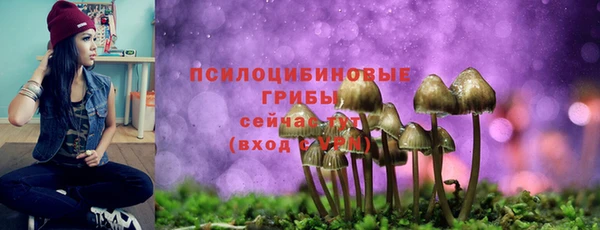 амф Арсеньев