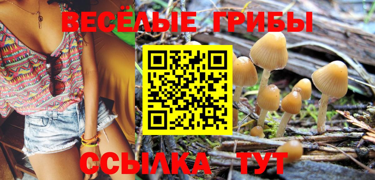МАРИХУАНА  Каменск-Уральский  Мефедрон   МДМА  ГАШИШ  Вход с VPN  НБОМе 