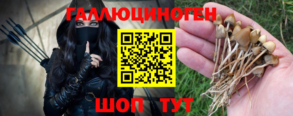 Псилоцибиновые грибы Magic Shrooms Каменск-Уральский